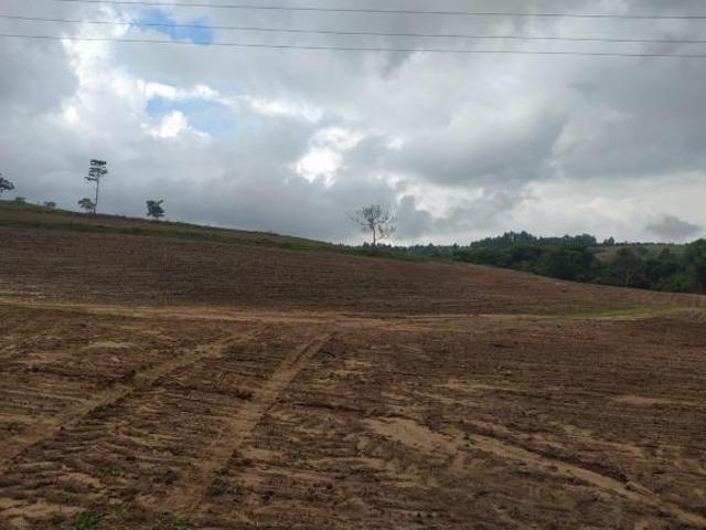 Fazenda para Venda em Cássia dos Coqueiros, RURAL