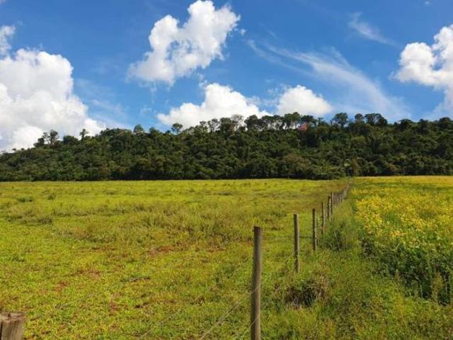 Fazenda para Venda em Cássia dos Coqueiros, RURAL