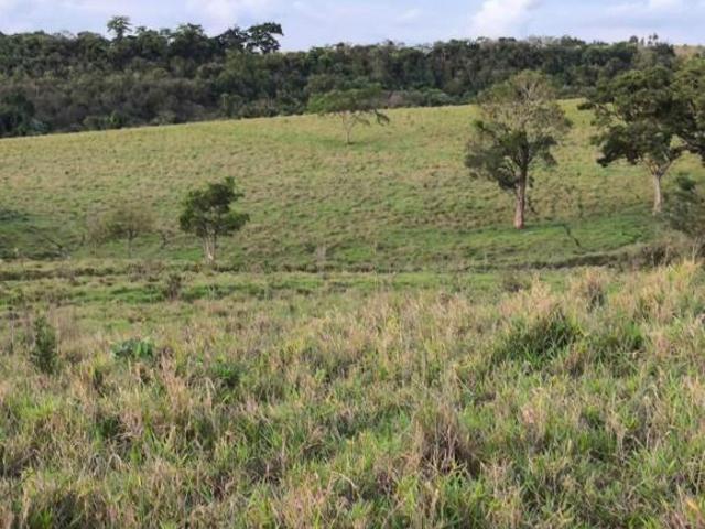 Fazenda para Venda em Cássia dos Coqueiros, RURAL