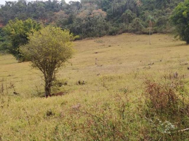Fazenda para Venda em Cássia dos Coqueiros, RURAL