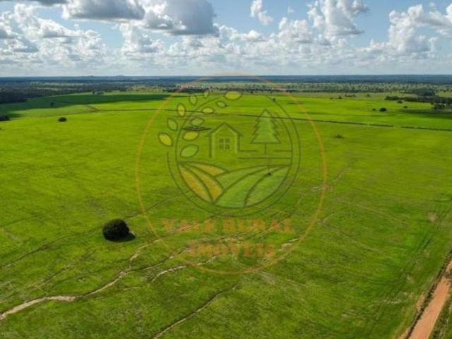Fazenda para venda em Centro, Mundo Novo