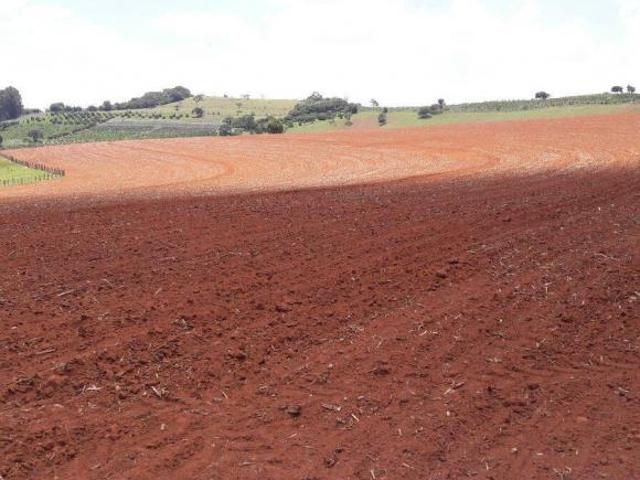 Fazenda para venda em Centro, Machado