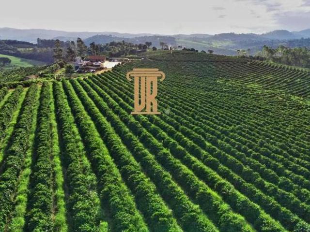 Fazenda para venda em Centro, Machado
