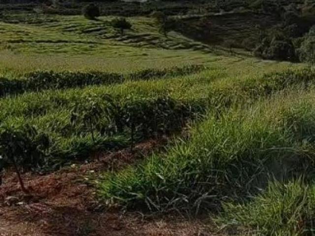 Fazenda para venda em Centro, Machado
