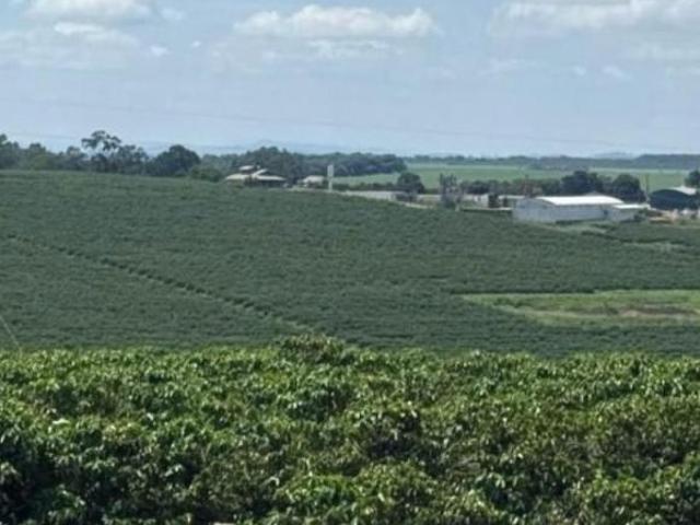 Fazenda para venda em Centro, Machado