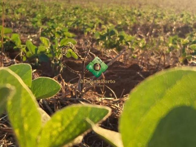 Fazenda para venda em Centro, Manoel Viana