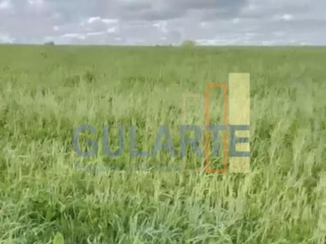 Fazenda para venda em Centro, Manoel Viana