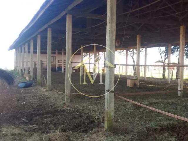 Sítio para venda em Centro, Manduri