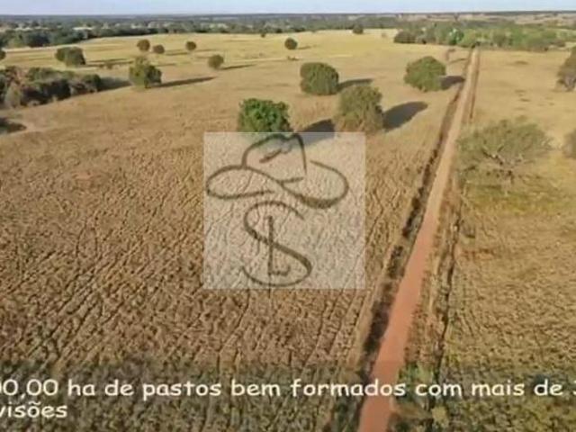 Fazenda para venda em Centro, Manga