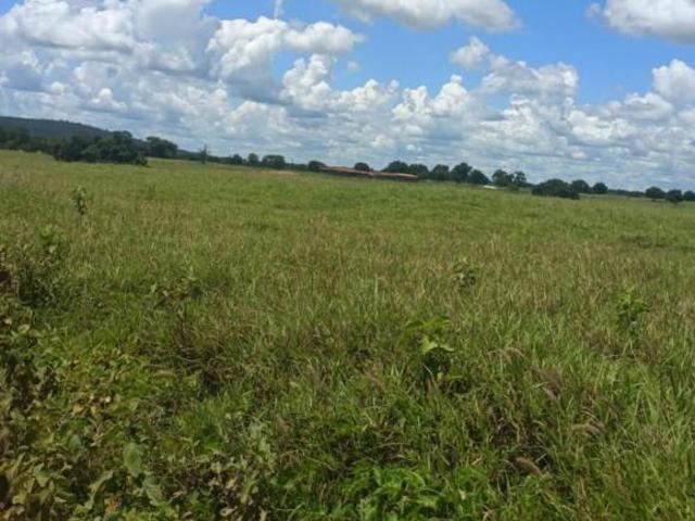 Fazenda para venda em Centro, Manga
