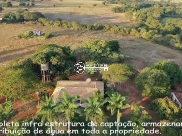 Fazenda para venda em Centro, Manga