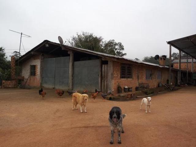 Fazenda para venda em Centro, Mariana Pimentel
