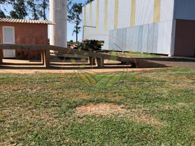 Fazenda para venda em Centro, Marília