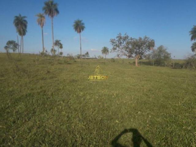 Fazenda para venda em Centro, Marília