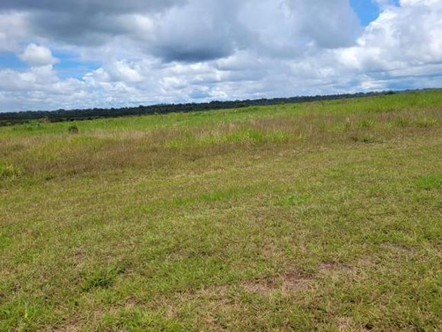 Fazenda para venda em Centro, Matupá