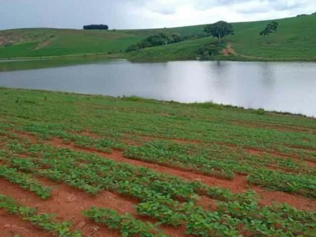 Fazenda para venda em Centro, Minduri