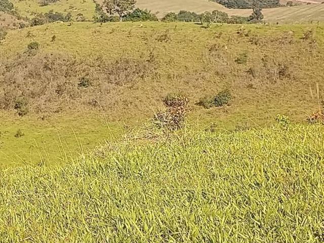 Fazenda para venda em Centro, Minduri