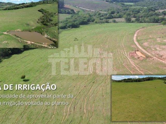 Fazenda para venda em Centro, Monsenhor Paulo