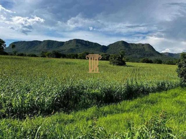 Fazenda para venda em Centro, Monte Alegre de Goiás