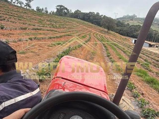Sítio para venda em Centro, Monte Alegre do Sul