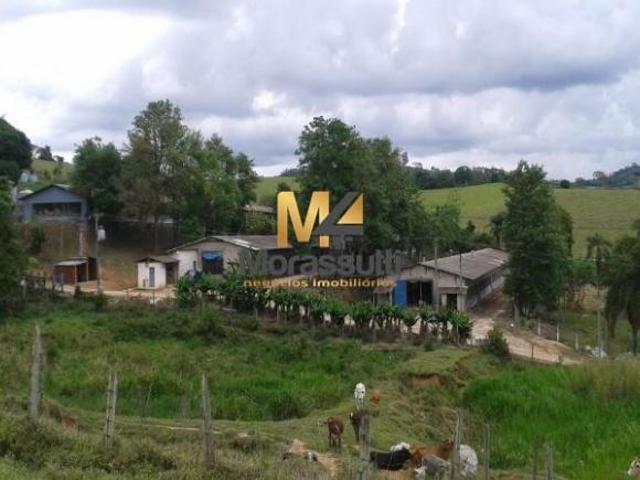 Fazenda para venda em Centro, Monte Alegre do Sul