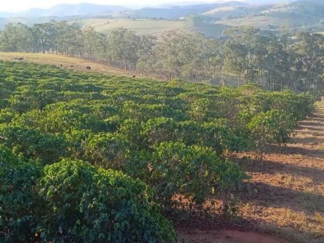 Fazenda para venda em Centro, Monte Belo
