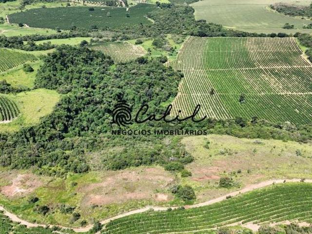Fazenda para venda em Centro, Monte Santo de Minas
