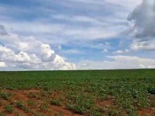 Fazenda para venda em Centro, Morrinhos