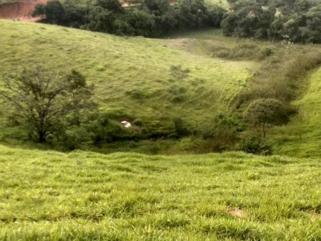 Fazenda para venda em Centro, Nepomuceno