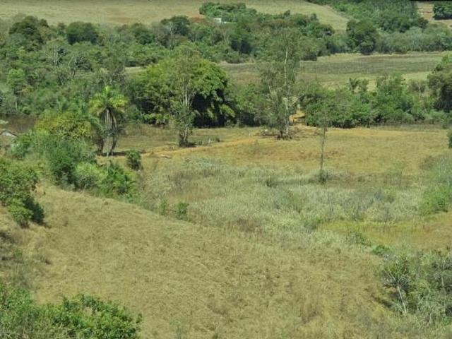 Fazenda para venda em Centro, Nepomuceno