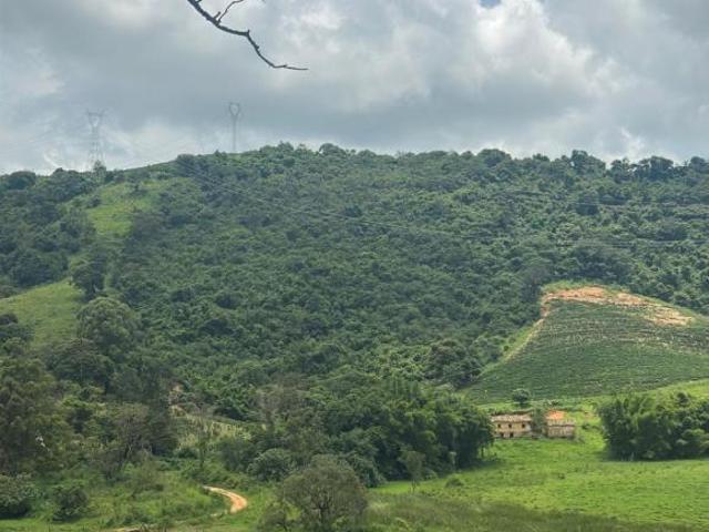 Fazenda para venda em Centro, Nepomuceno