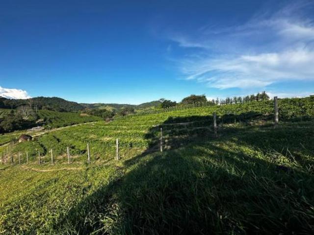 Fazenda para venda em Centro, Nepomuceno