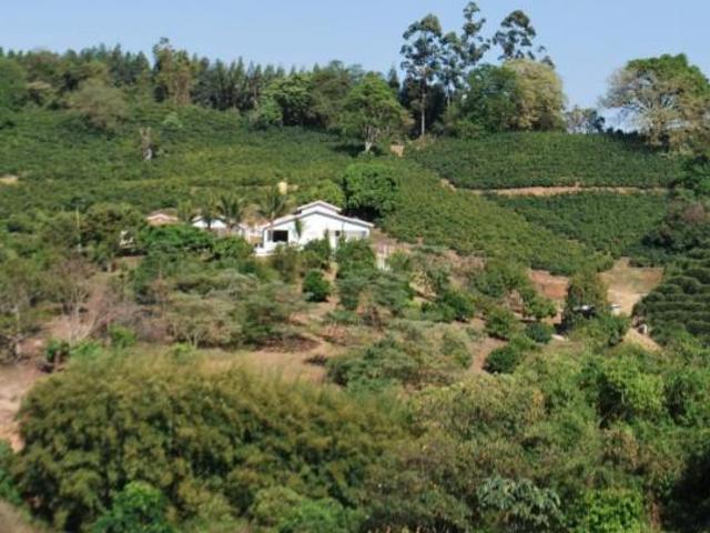 Fazenda para venda em Centro, Ouro Fino