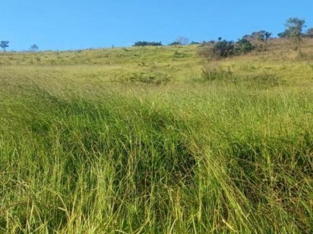 Fazenda para venda em Centro, Oliveira