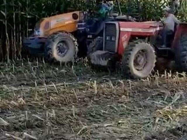 Fazenda para venda em Centro, Oliveira