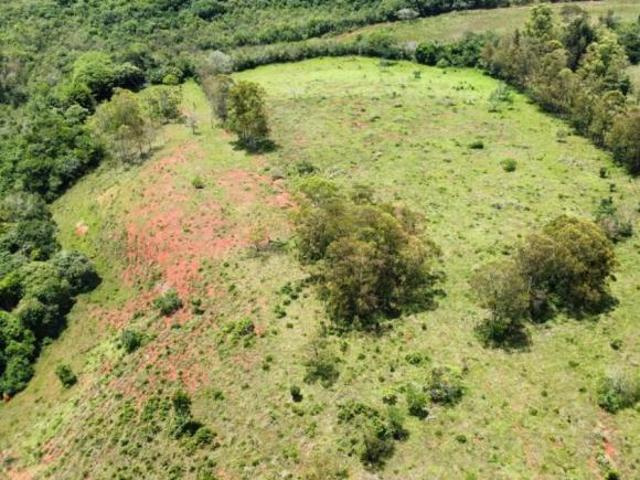 Fazenda para venda em Centro, Oliveira