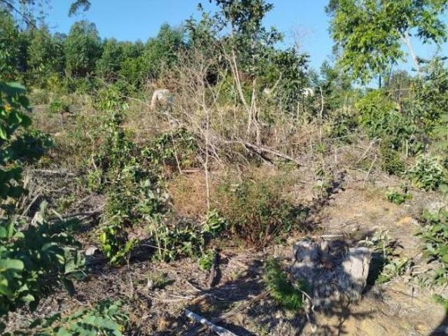 Fazenda para venda em Centro, Oliveira