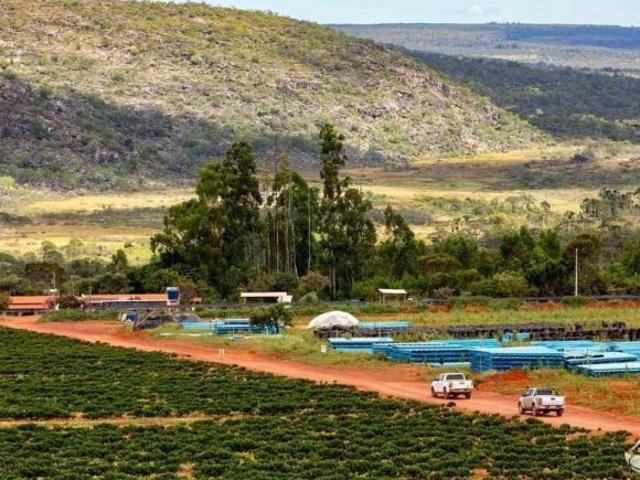 Fazenda para venda em Centro, Augusto de Lima