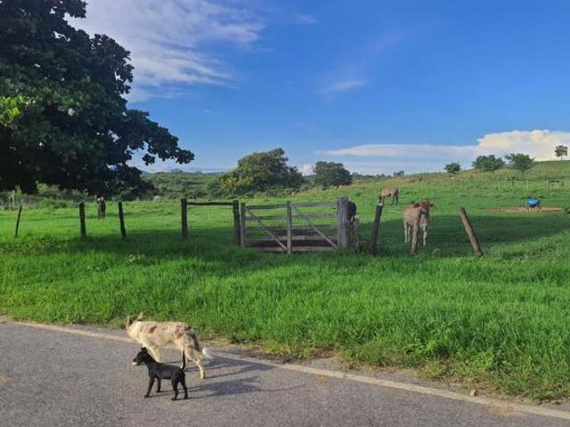 Fazenda para venda em Centro, Augusto de Lima