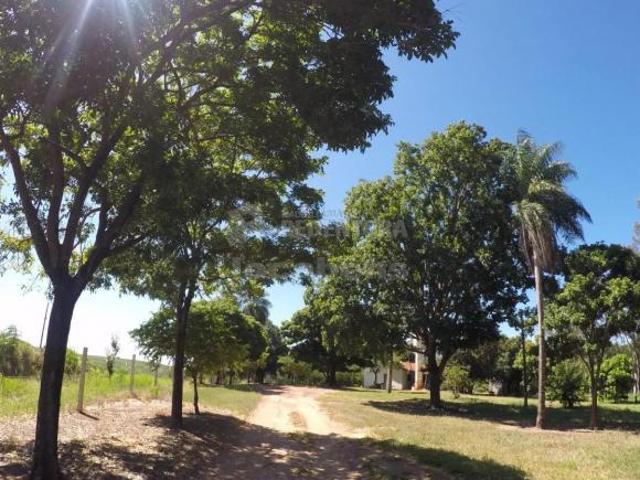 Fazenda para venda em Centro, Auriflama