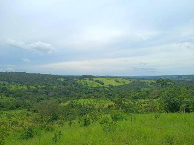 Fazenda para venda em Centro, Abadiânia
