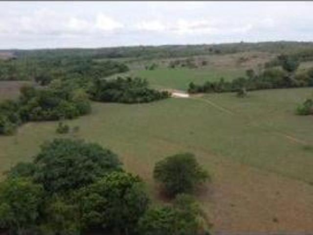 Fazenda para venda em Centro, Acorizal