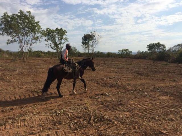 Fazenda para venda em Centro, Água Fria de Goiás