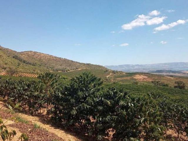 Fazenda para venda em Centro, Aguanil