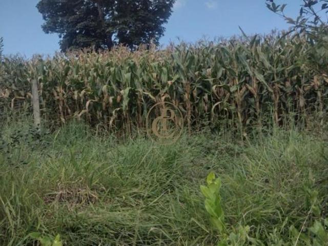 Fazenda para venda em Centro, Aiuruoca