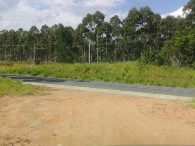 Fazenda para venda em Centro, Alambari