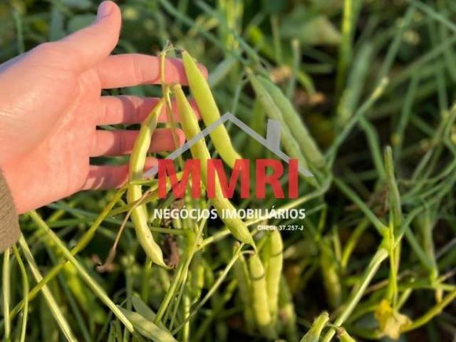 Fazenda para venda em Centro, Angatuba