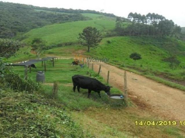 Fazenda para venda em Centro, Antônio Carlos