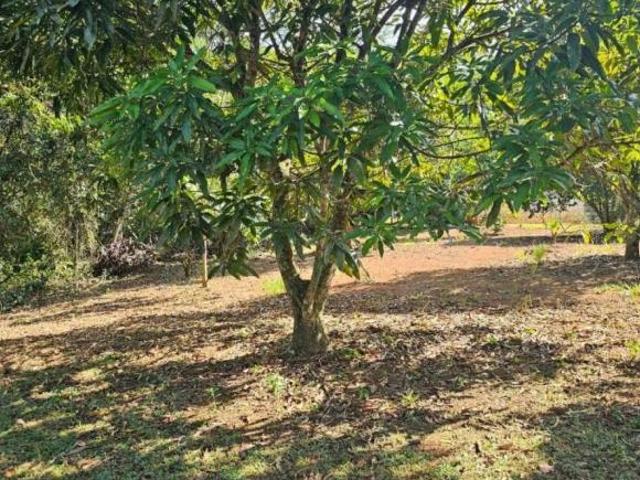 Chácara para venda em Centro, Araçariguama