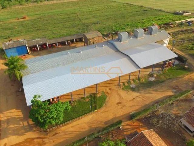 Fazenda para venda em Centro, Araguari